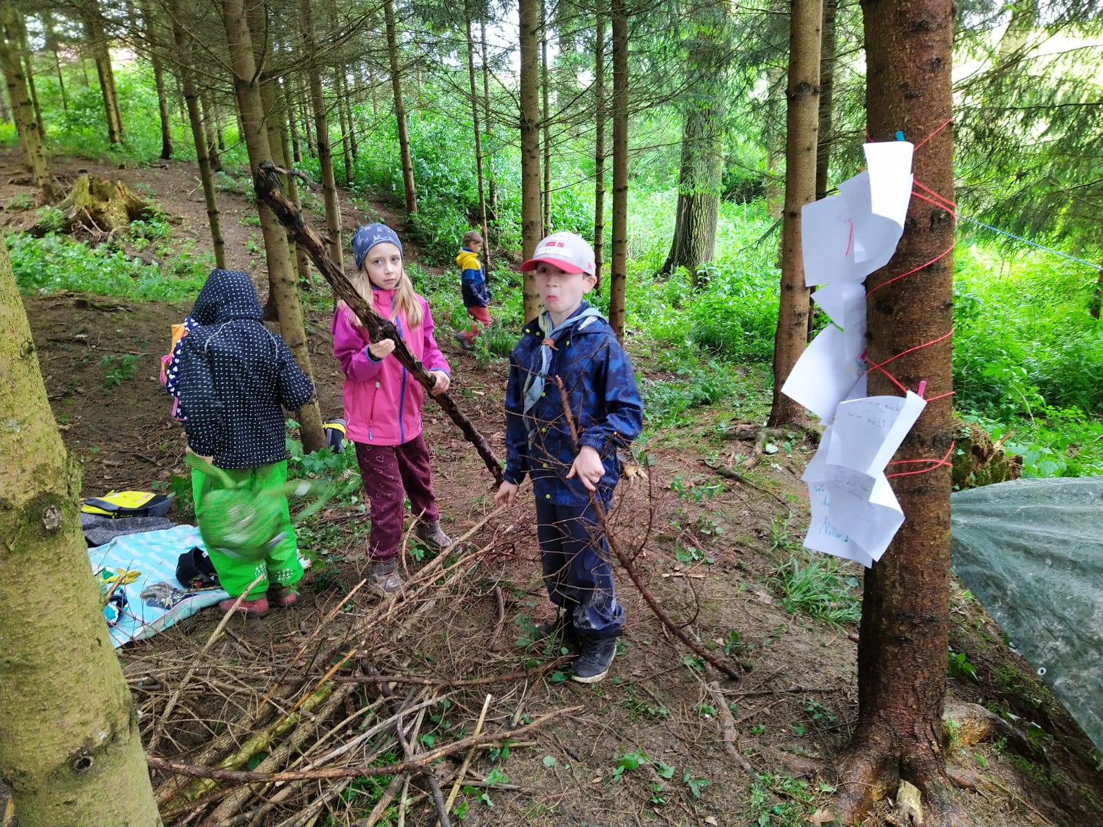 Wald 2022