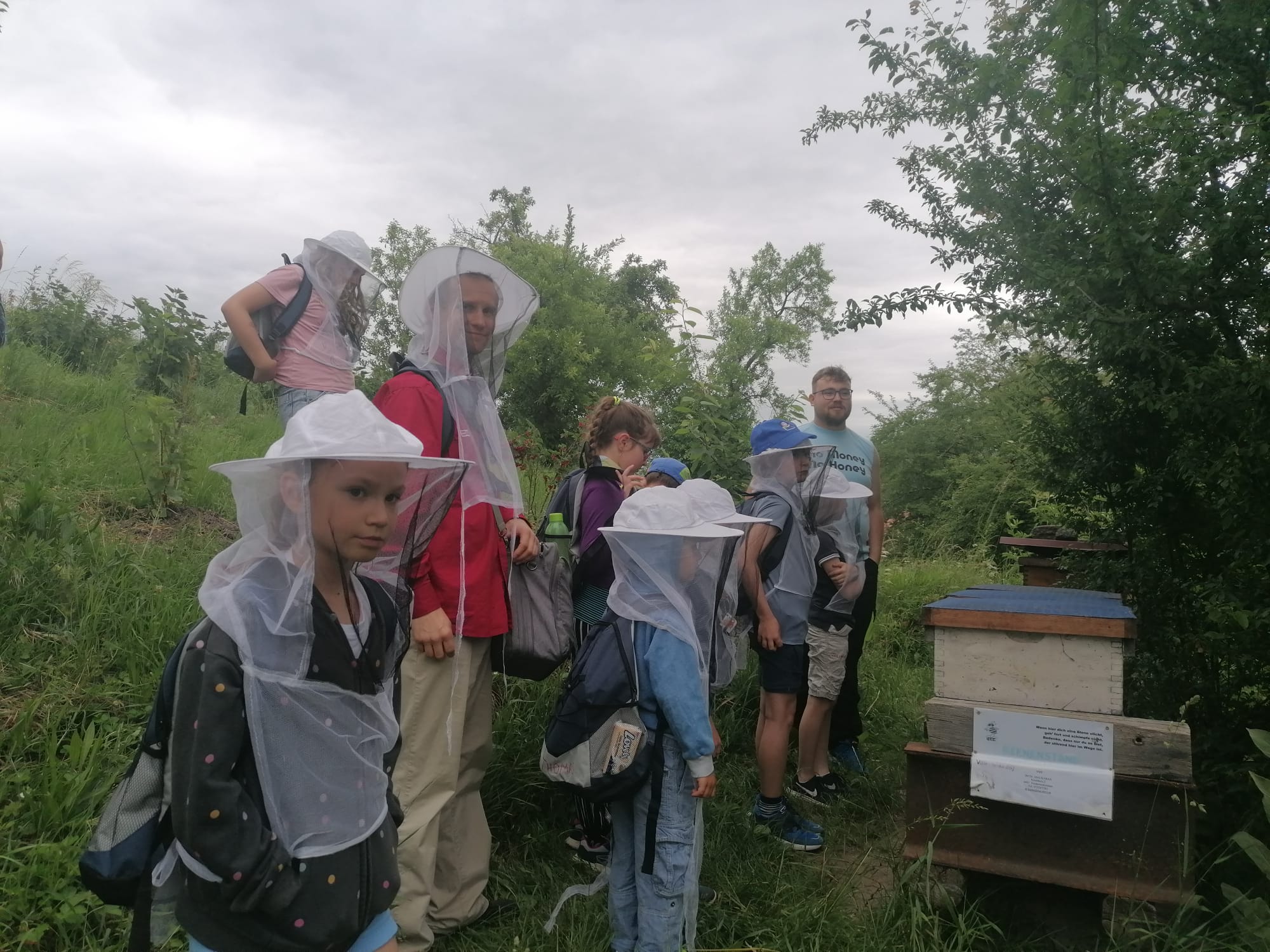 Heimstunde Bienen